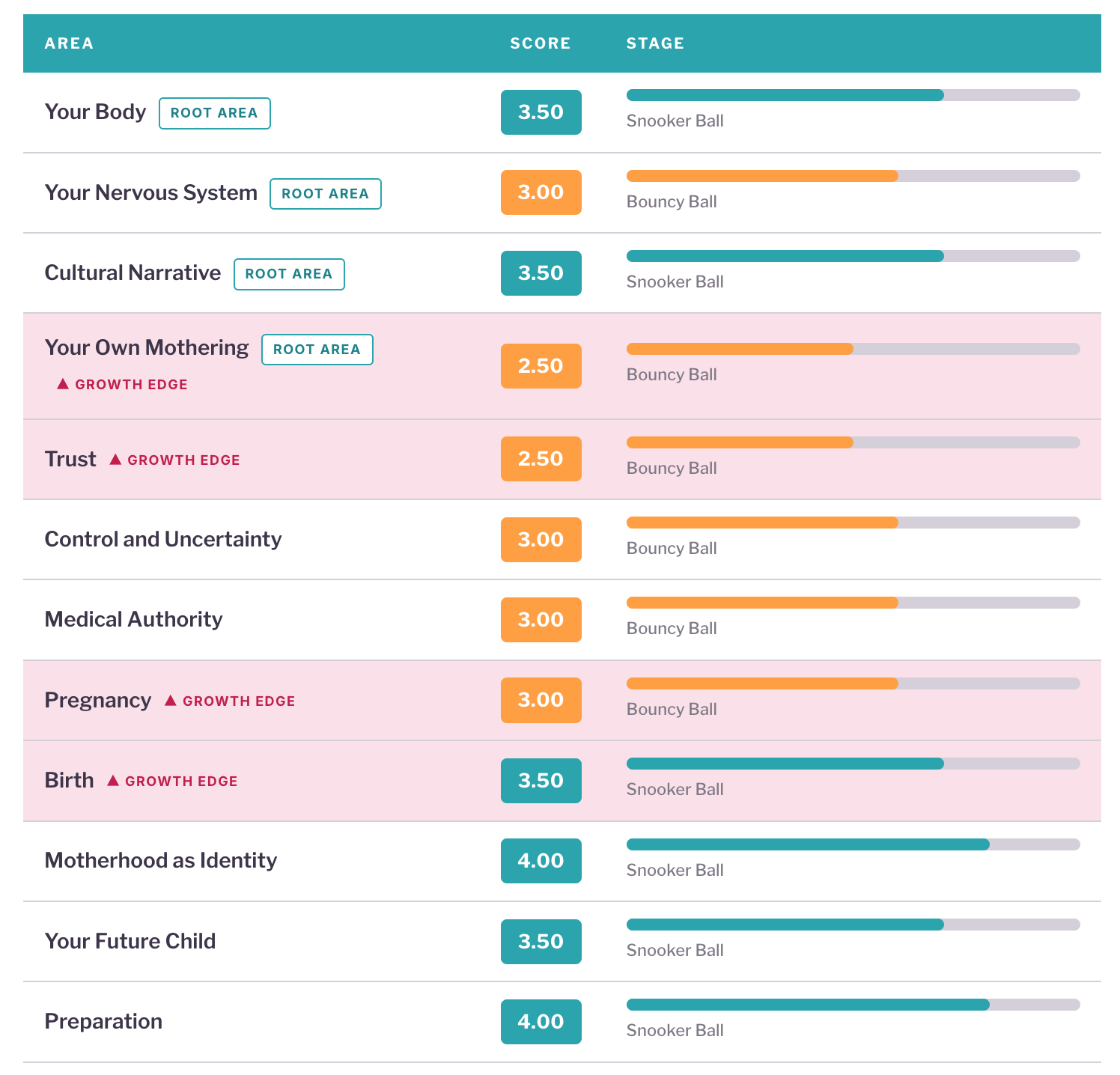 Birth Readiness Blueprint sample